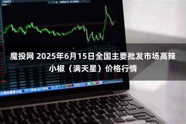 魔投网 2025年6月15日全国主要批发市场高辣小椒（满天星）价格行情