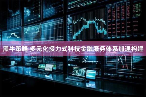 黑牛策略 多元化接力式科技金融服务体系加速构建
