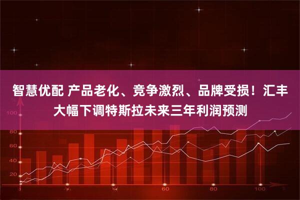 智慧优配 产品老化、竞争激烈、品牌受损！汇丰大幅下调特斯拉未来三年利润预测