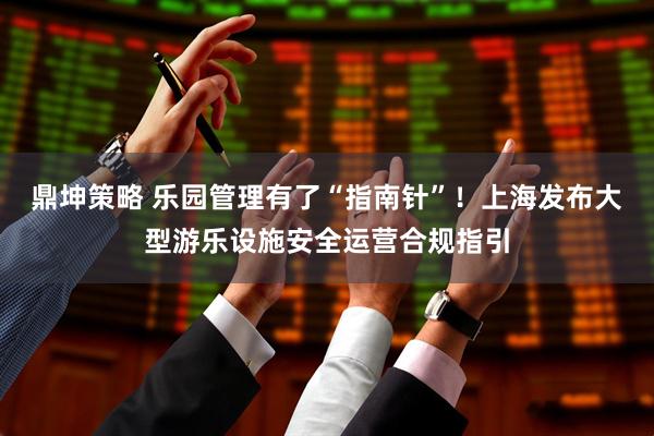 鼎坤策略 乐园管理有了“指南针”！上海发布大型游乐设施安全运营合规指引