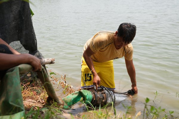 大业证券 追踪｜东莞沙田镇立即整改，推进撂荒高标农田复耕_三农_南方+_南方plus
