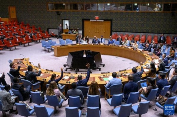 金谷子 联合国12比0通过红海决议, 中国弃权背后隐藏多大无奈? 胡塞武装“被帮到头”!